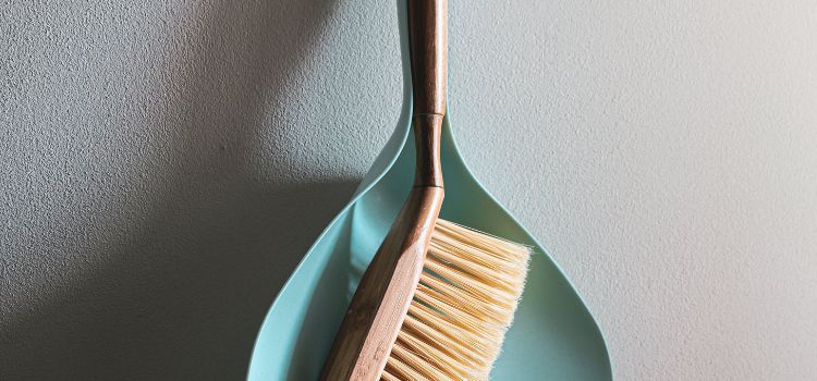 Pack a Small Broom or Brush